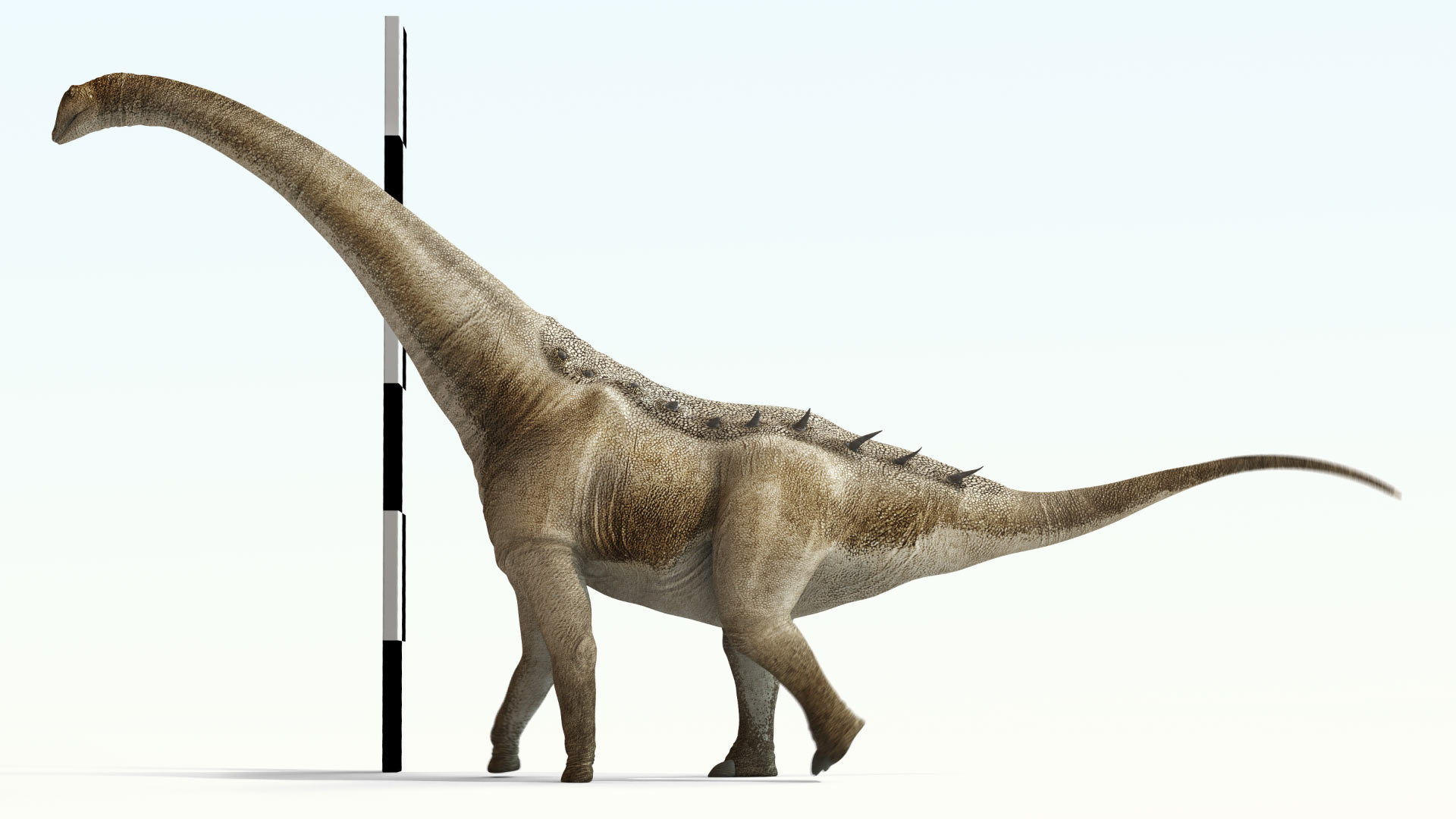 New Dinosaur Species Discovered Qunkasaura Pintiquiniestra Found in